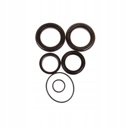 Bizon steering cylinder seal set