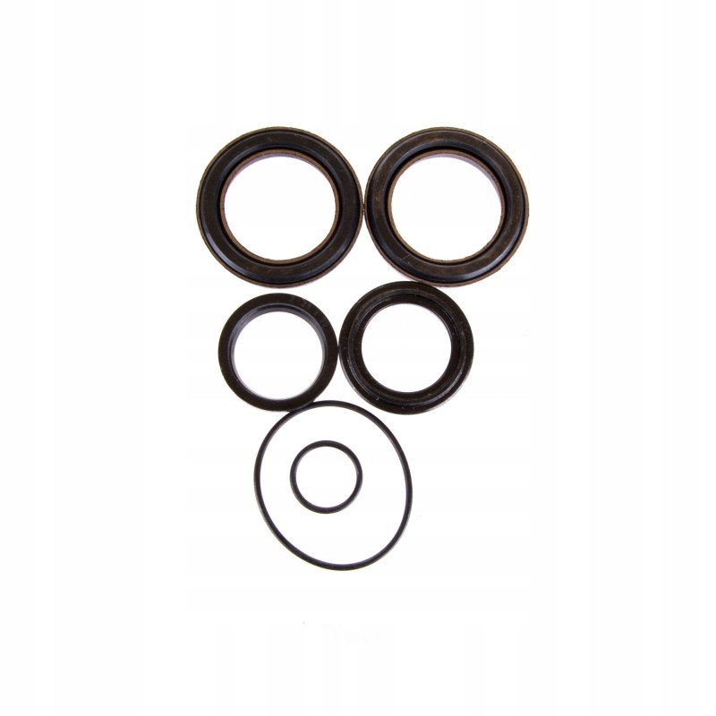Bizon steering cylinder seal set