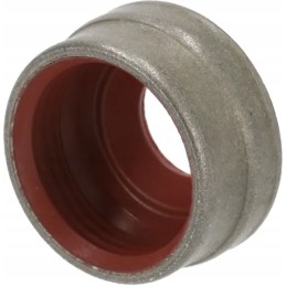 Valve seal