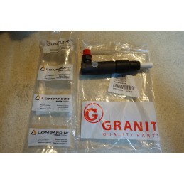 Lombardini Kohler injector injection