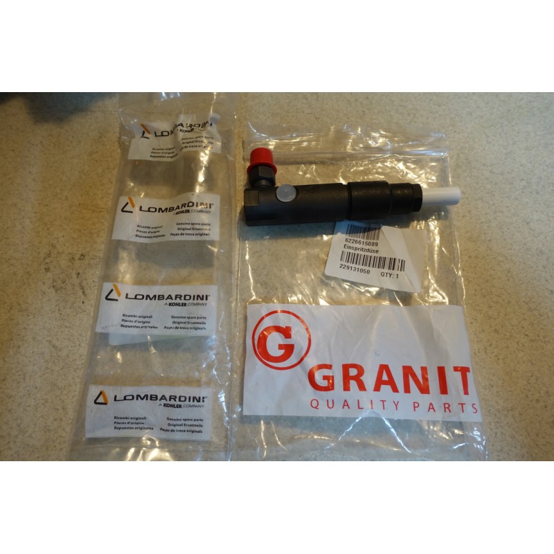Lombardini Kohler injector injection