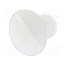 10 pcs x DREMEC - 8G202V50302 - Screw, M5x7, 0.8, Head: countersunk, slotted, 1,4mm, polyamide