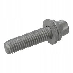 Torx head screw