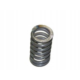 Spring 5040250310 bison motogeneric