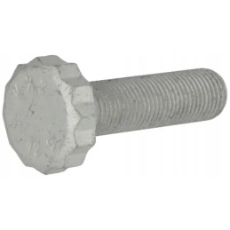 Bihexagon screw