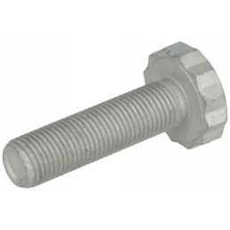 Bihexagon screw