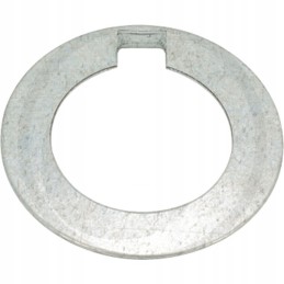 A washer securing the crankshaft gear