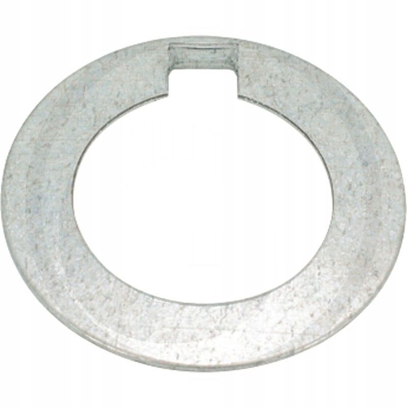 A washer securing the crankshaft gear