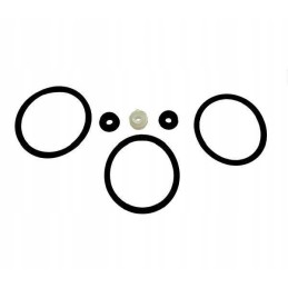 Seal set 294808 jag09 0043 g claas moto