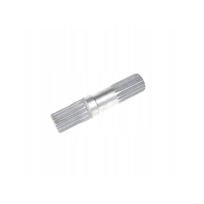 Polos short bison 5058740180