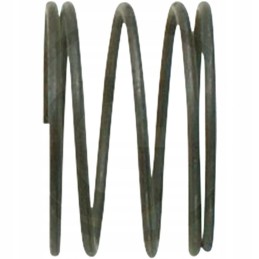 Spring for oil filler condensation insert C 360