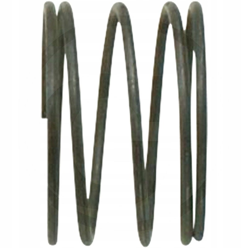 Spring for oil filler condensation insert C 360
