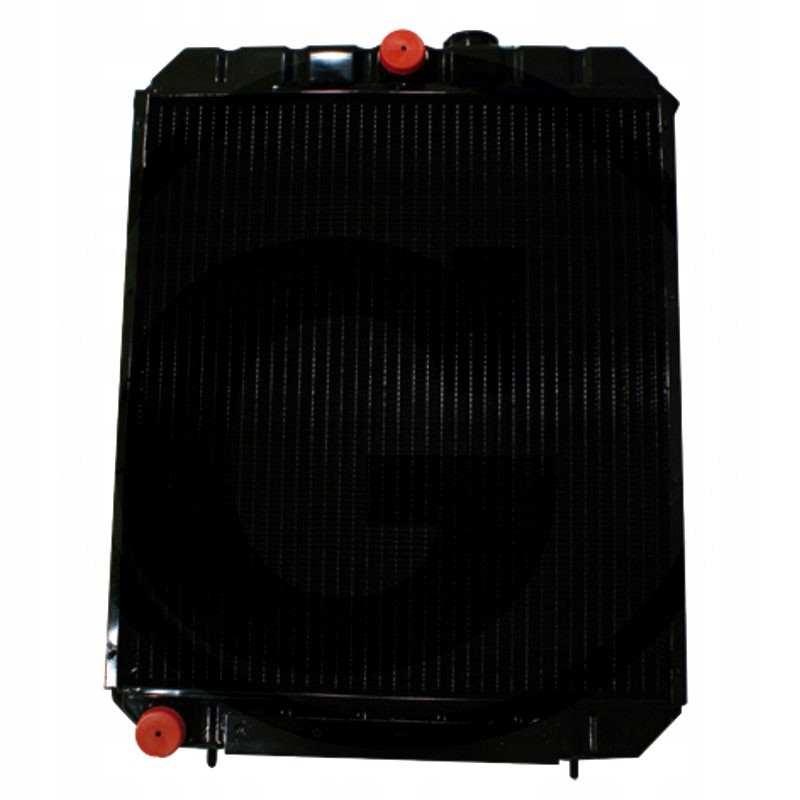 Bizon copper water cooler with a stopper