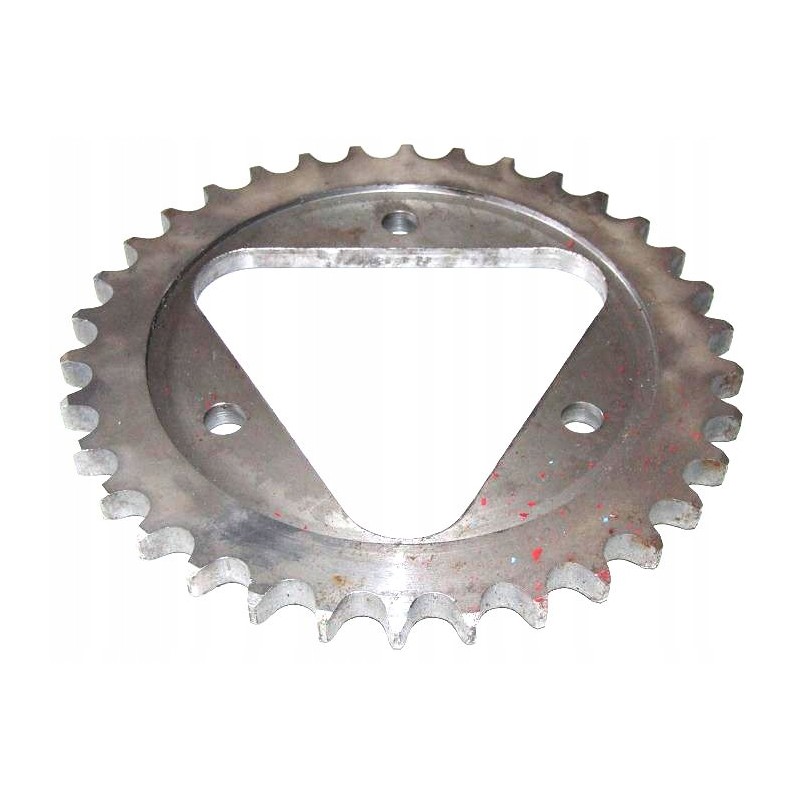 Circle with triangle bison from 34