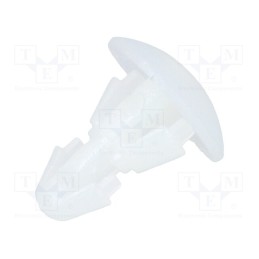 50 pcs x FIX&FASTEN - FIX-RCA-2.5 - Assembly stud, polyamide, L: 2.5mm, snap fastener, natural
