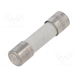 10 pcs x SIBA - 179200.1 - Fuse: fuse, time-lag, 1A, 250VAC