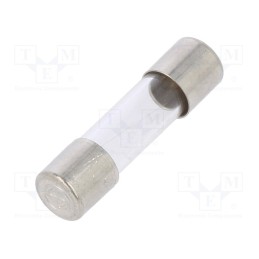 10 pcs x SIBA - 179020.0,1 - Fuse: fuse, quick blow, 100mA, 250VAC, cylindrical,glass, 5x20mm