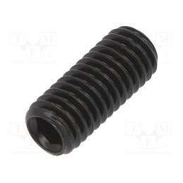 100 pcs x BOSSARD - 1025678 - Screw, M5x12, 0.8, Head: without head, hex key, HEX 2,5mm, steel