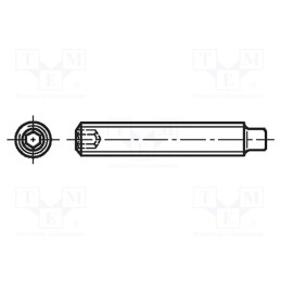 100 pcs x BOSSARD - 1030094 - Screw, M6x8, 1, Head: without head, hex key, HEX 3mm, steel, DIN 915