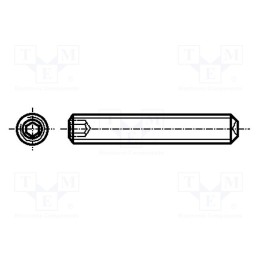 100 pcs x BOSSARD - 1036890 - Screw, M4x6, 0.7, Head: without head, hex key, HEX 2mm, steel, zinc