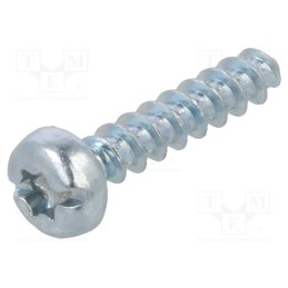 100 pcs x BOSSARD - 3148575 - Screw, for plastic, 2.5x12, Head: cheese head, slotted,Torx®, zinc