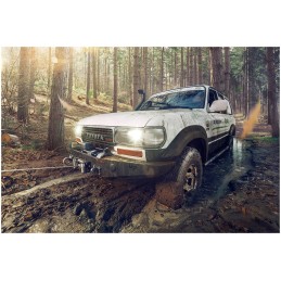 Off-road rope winch 4310kg msw 10060663