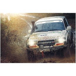 Rope winch 4310 kg, propulsor 9500 a msw