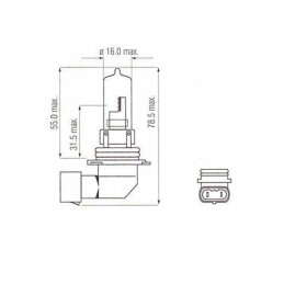 Bulb 12v 65w Can Am Renegade road blue