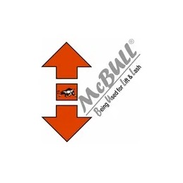 Fixing chain with 10 mm ratchet tensioner