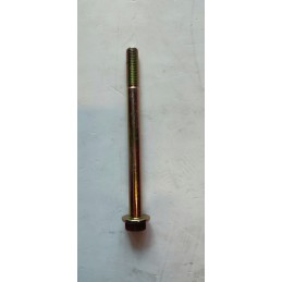 Swingarm bolt 10mm x 1 5 oem Polaris Sportsman 850