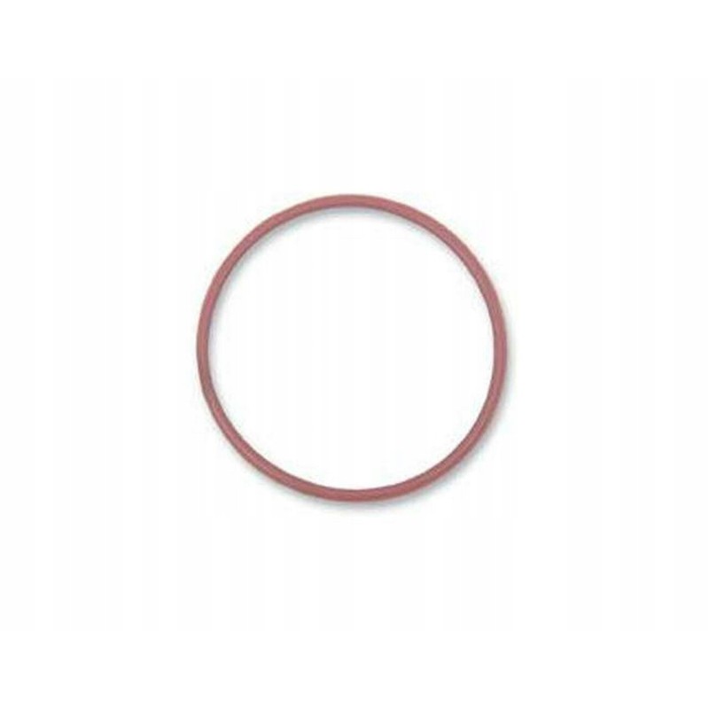 Filter cover O ring 420230920