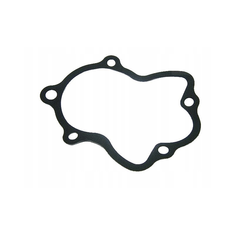 Gear selector gasket grizzly 3b4 18146 00 00