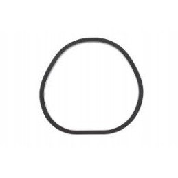 Intake manifold gasket can am brp 420630642