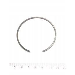 Rear swing arm bearing protection BRP 293370019