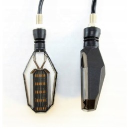 LED turn signals with white light front, 2 pcs