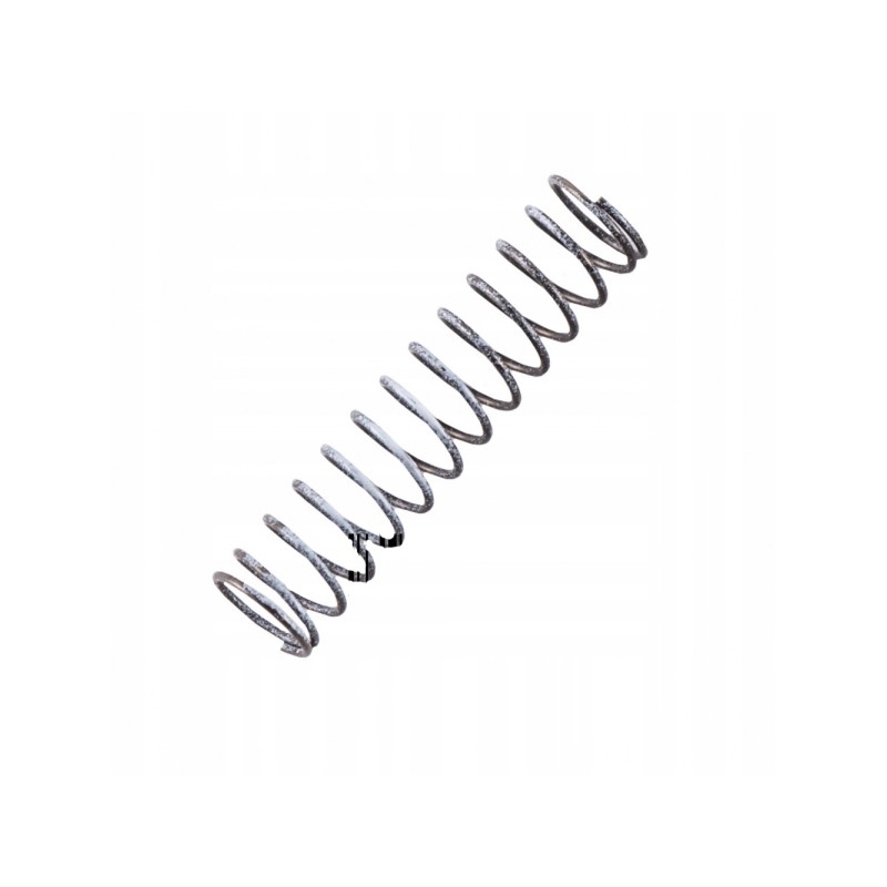 Variator sleeve spring 420239134