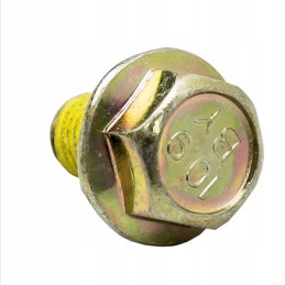 Rear brake caliper screw Can Am Outlander M10x16 250000060 705400034