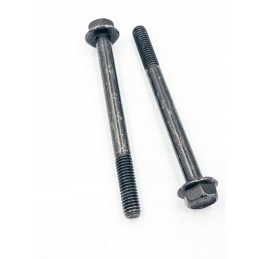 Screws m6 x 70 250000475