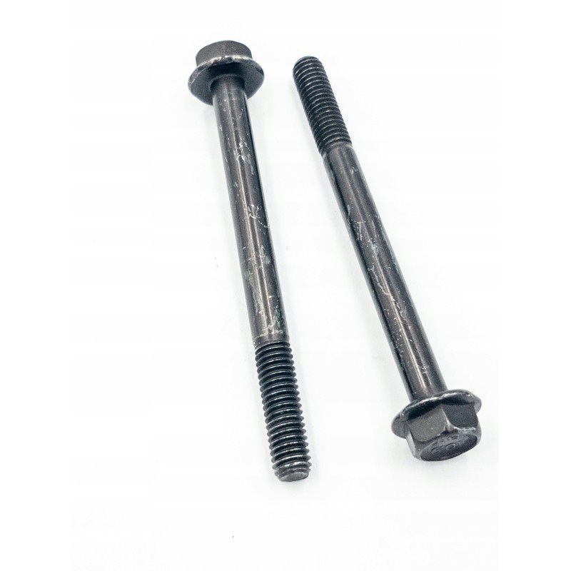 Screws m6 x 70 250000475