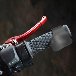 Quad motor cruise control on the throttle lever