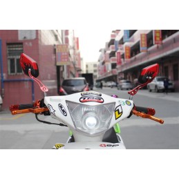 Mirrors tuning motor quad flames m8 m10