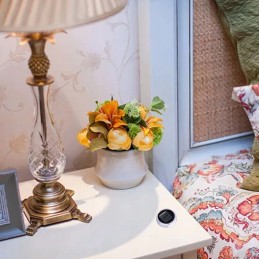 Mini motorcycle thermometer attached to quad bike