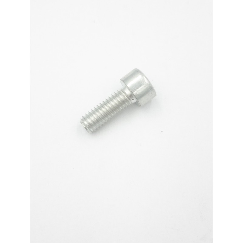 Screw m10 x 200 250000024