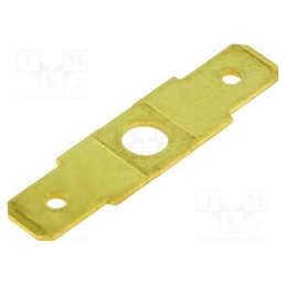 10 pcs x BM GROUP - BM 01011 - Terminal: flat, 6.3mm, 0.8mm, 2 x male, M4, non-insulated,double