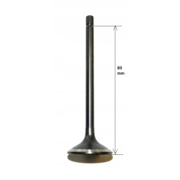 ATV 250st 9e shineray exhaust valve for quad