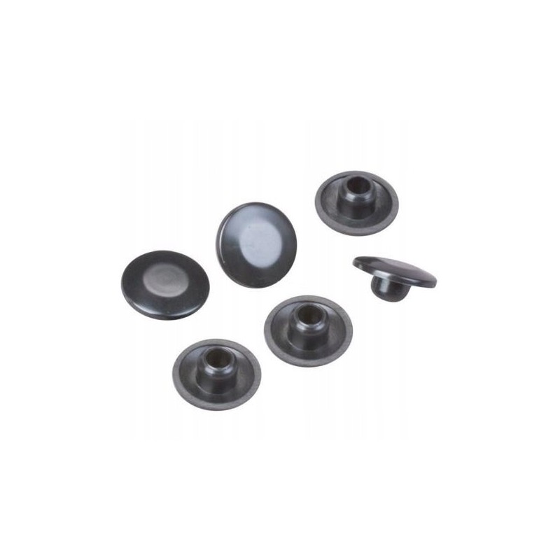 Caps for Allen screws 6