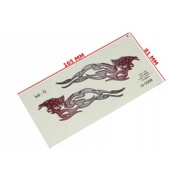 Red and silver flame sticker, category g