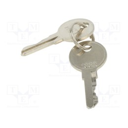 1 set x ETI POLAM - KEY-1333 - Key, Key code: 1333, 2pcs.