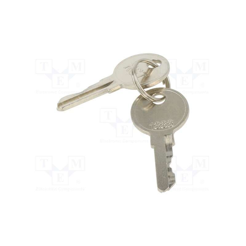 1 set x ETI POLAM - KEY-1333 - Key, Key code: 1333, 2pcs.