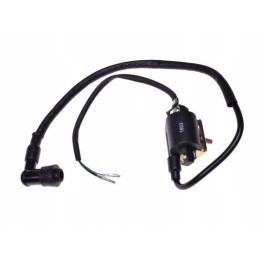 Ignition coil 4t kingway chopper magnus los